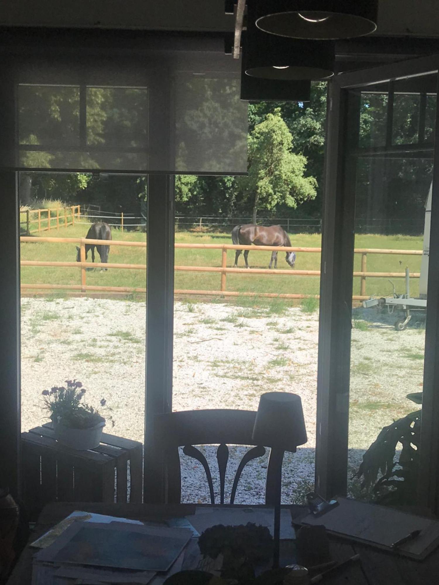 Ks Kotten Bed And Breakfast Rees Εξωτερικό φωτογραφία
